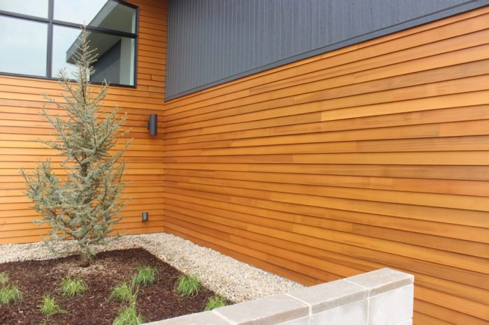 Cedar plank siding