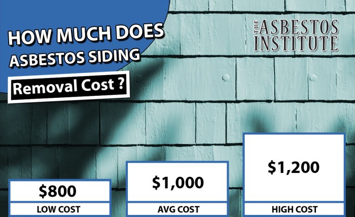 Cost to remove asbestos siding